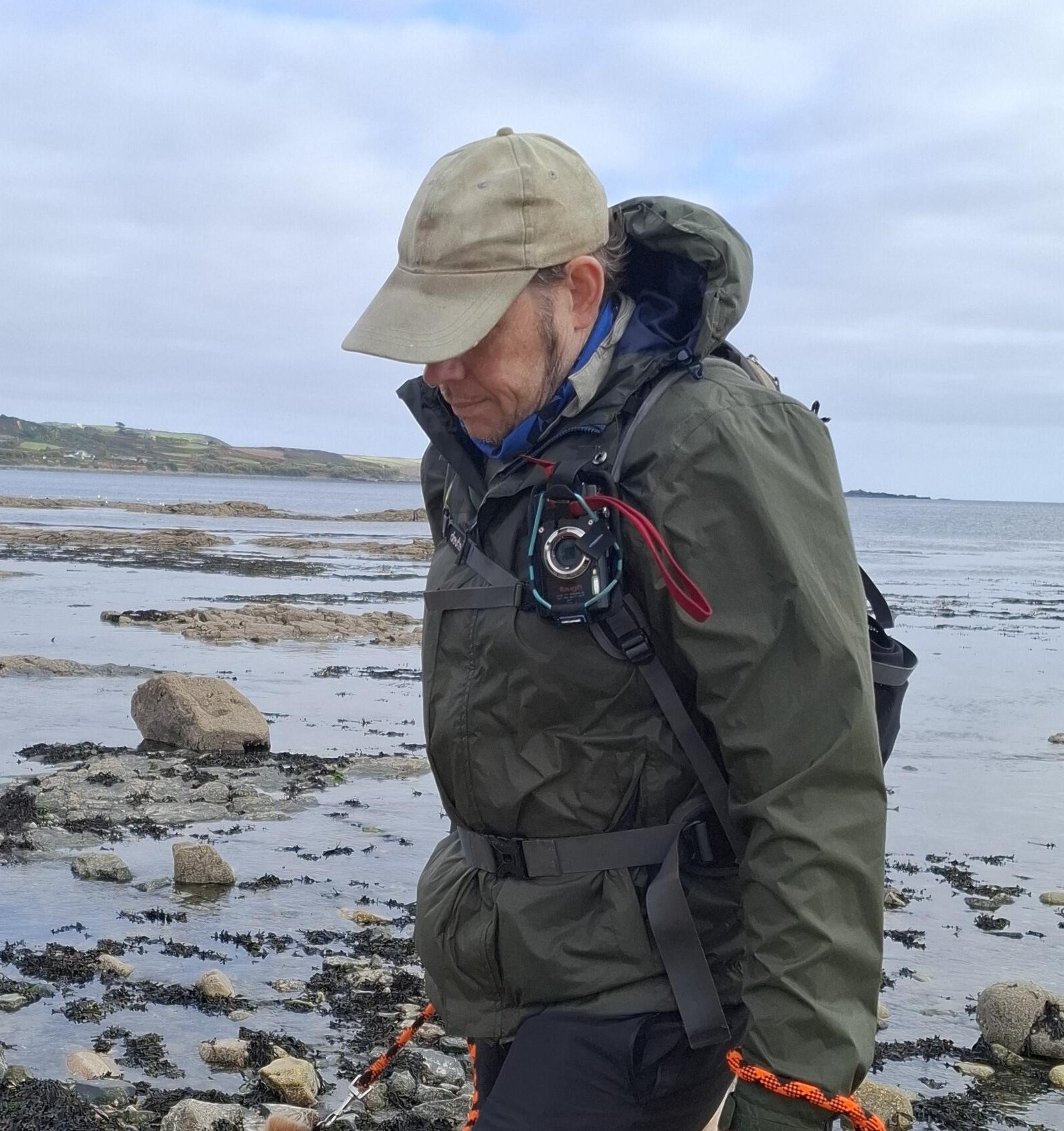 0752.25 Dog bite, Marazion. PIC.jpg