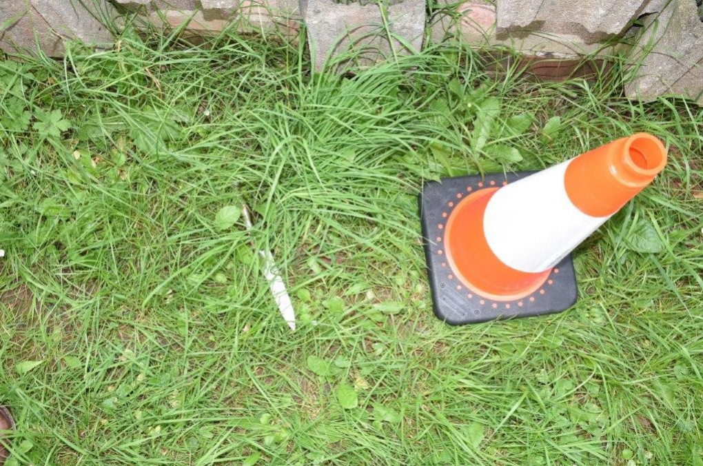 Op Moplight image 2.jpg