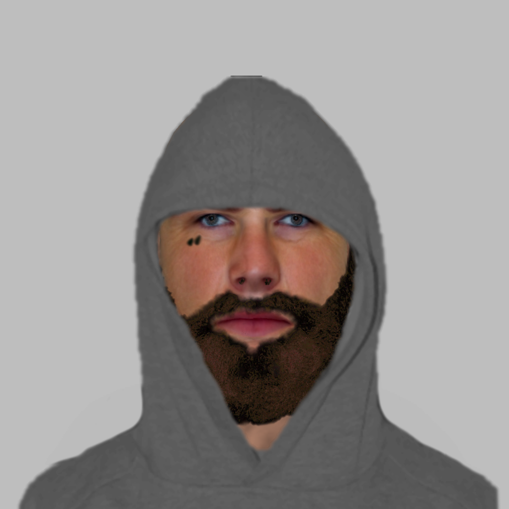 0679.24 Sex assault e-fit.jpg