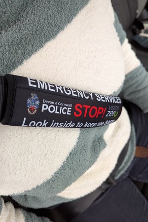 3. cover on seatbelt.jpg