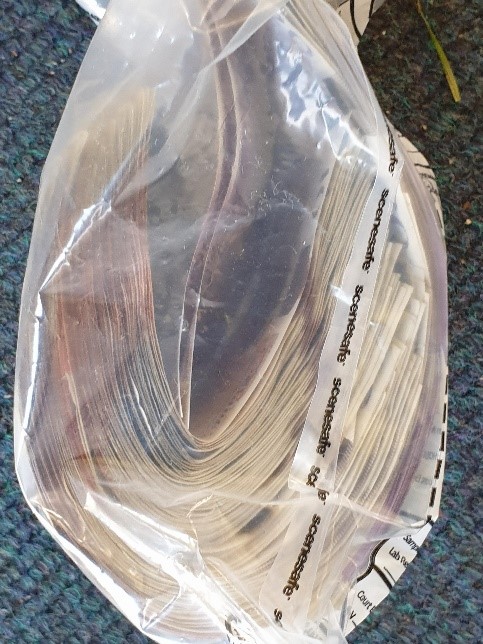 SD25 - cash seized (PAU).jpg