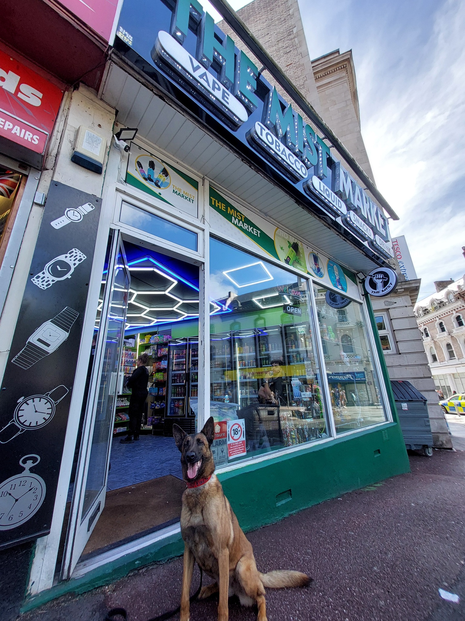 Dog outside Mist Market.jpg