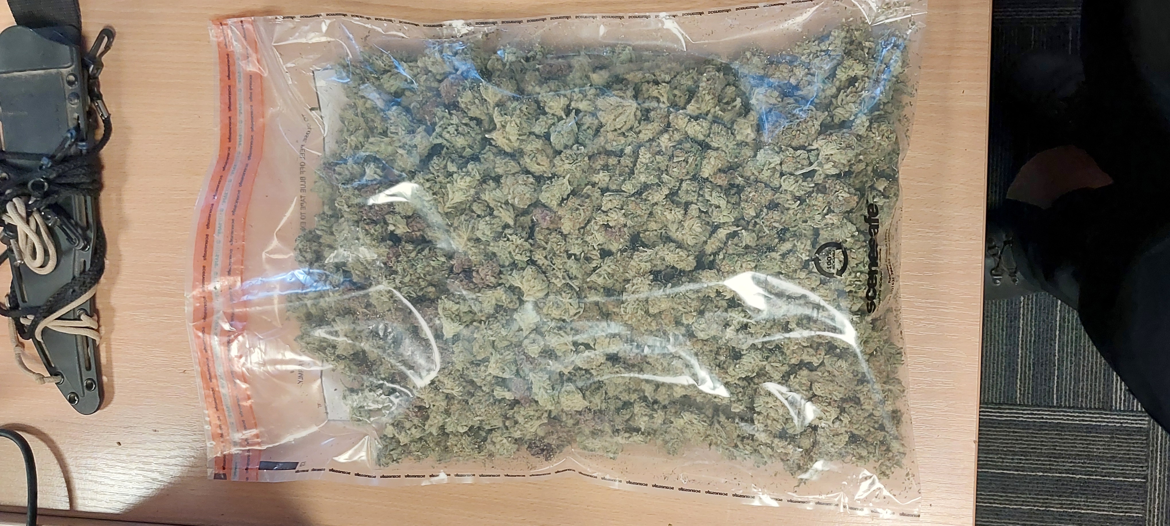 cannabis-seized-northlew.jpg