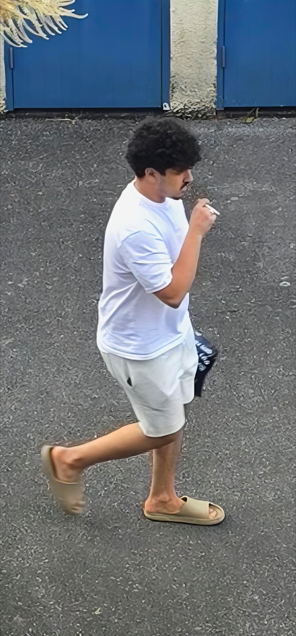 0488.26 Plym assaults.jpg