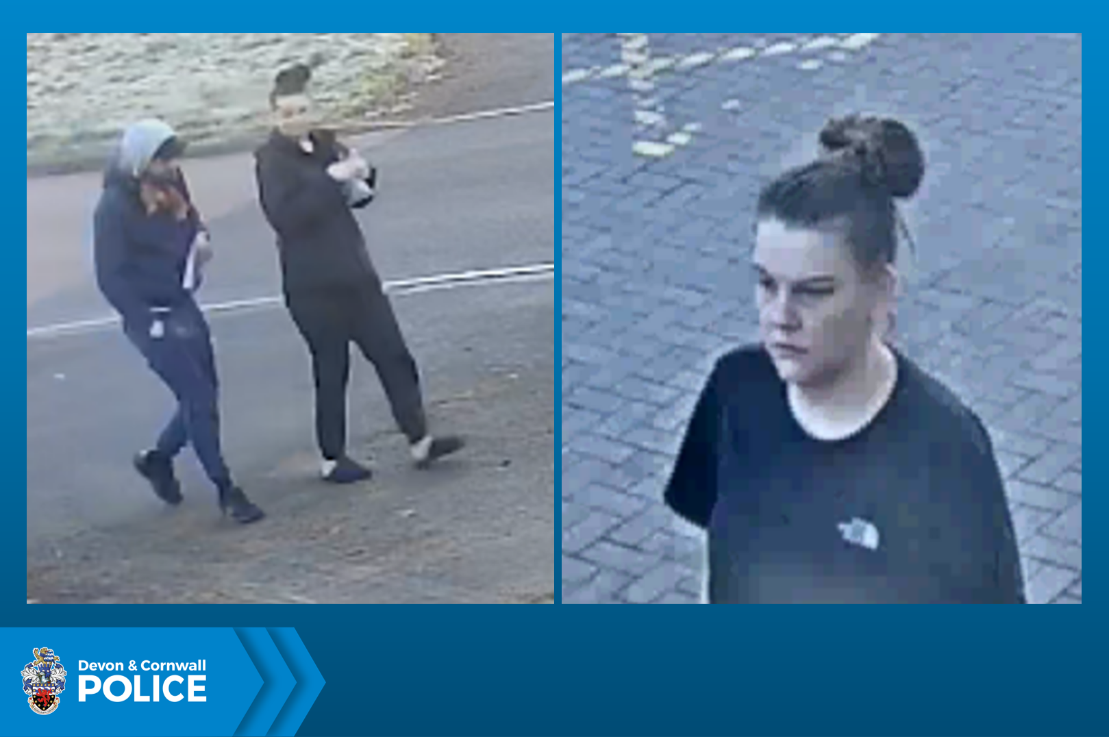 0267.25 Burglary composite.jpg