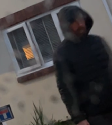 0734.25 Dog appeal.jpg