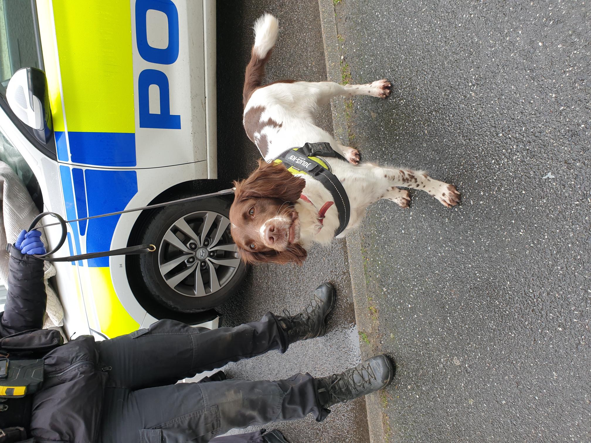 CIOS26 - warrant [Camborne] Feb.jpg