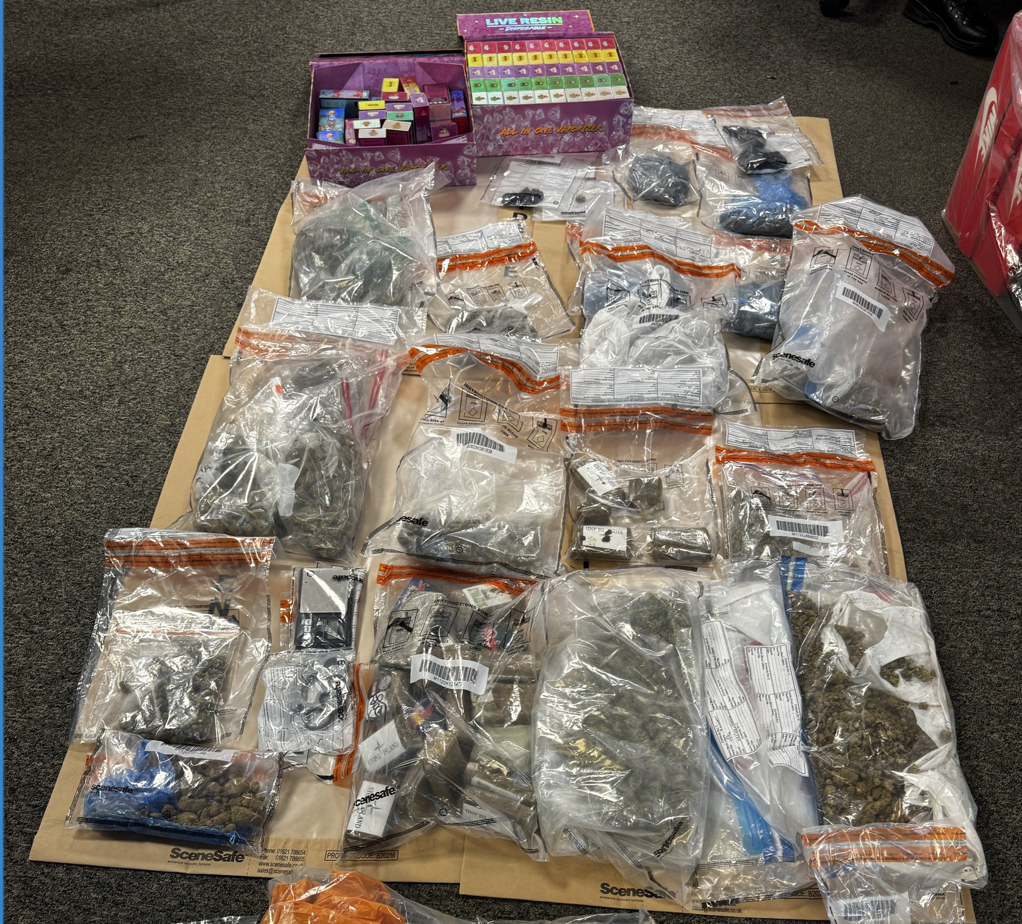 Paignton drugs image July cropped.jpg