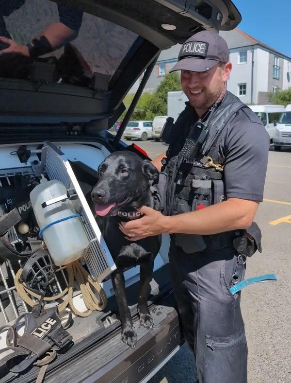 CIOS25 - Jasper [passive drugs dog].jpg