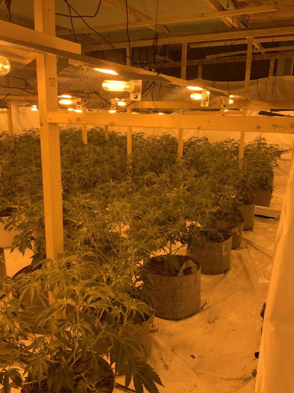 0292.23 Op Mille  - Image two.jpg