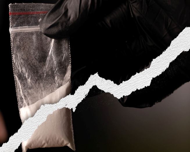 DCP press release.jpg