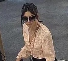 0522.26 Theft from public library, Plymouth. PIC.jpg