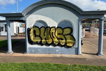 0201.24 Appeal following graffiti in Torbay image.jpg